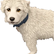 fluffy pets on wooden floor sticker