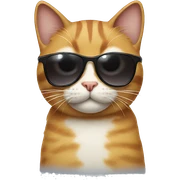 Cat with sunglasses sticker