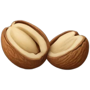 nuts sticker