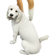 dog in grassy field sticker