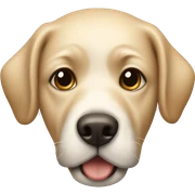 Dog Beige Maltester Bichln  sticker