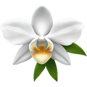 White Orchid sticker