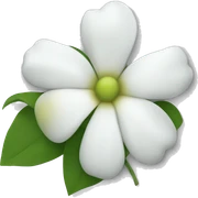whithe flower sticker