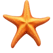 starfish  sticker