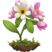 Spring  sticker