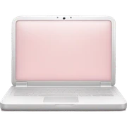 Light pink laptop sticker