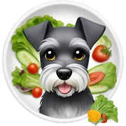 miniature schnauzer eating a salad sticker