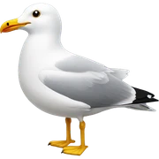 Seagull  sticker