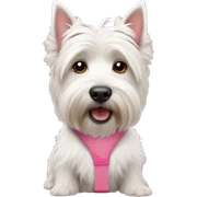 White west terrier in pink suspenders sticker