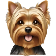 Yorkie terroir  sticker