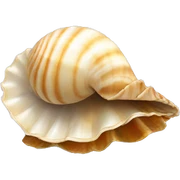 shell sticker
