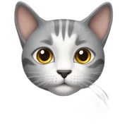 gato gris sticker