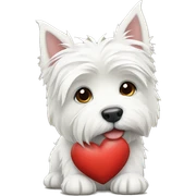 White highland terrier holding a heart sticker