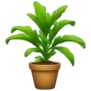 Plant sticker