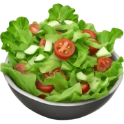 salata  sticker