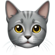 Gray cat sticker