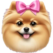 Pomeranian pink bow sticker