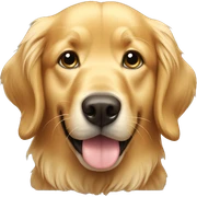Golden retriever  sticker