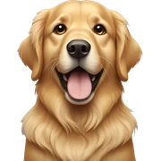 golden retriever  sticker