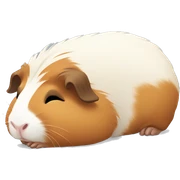 Sleeping guinea pig  sticker