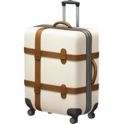 luggage sticker