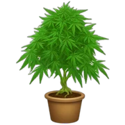 Cannabis tree sticker
