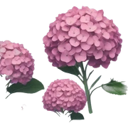 Hydrangea sticker