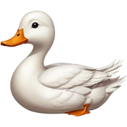 duck sticker