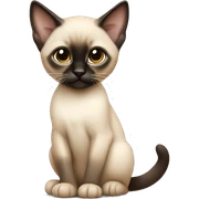 Siamese kitten sitting  sticker