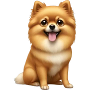 pomeranian sticker