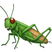 Cricket sticker