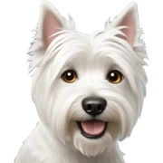 west highland white terrier sticker