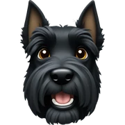 Black Scottish terrier sticker