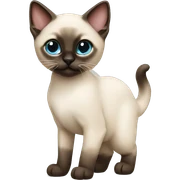 Siamese kitten standing  sticker