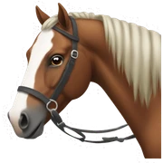 horse  sticker