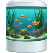 fish tank sticker