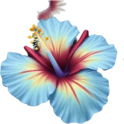 blue hibiscus flower  sticker