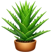 Aloe sticker