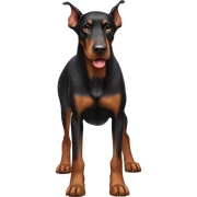 Dog Doberman  sticker