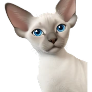 blue eyed cat gaze sticker