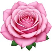 Pink sticker