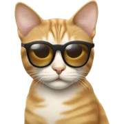 Cat with sunglasses sticker