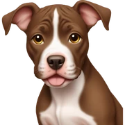 Brown Pitbull puppy sticker