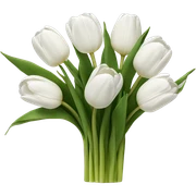 white tulip bouquet  sticker