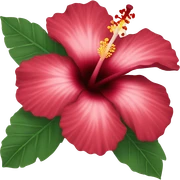 Hibiscus flower sticker