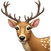 deer sticker