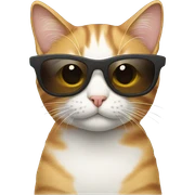 Cat with sunglasses sticker