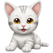 baby cat sticker