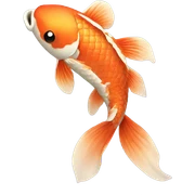Koi fish sticker