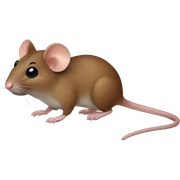 brown mouse sticker